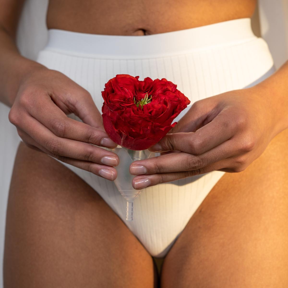 Endometriosis, Adenomyosis & PCOS&nbsp;Resources