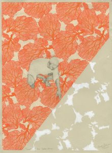 The page is divided in half by two shades of different color. One half is orange and the other half is beige. A person reaches down to touch the border between the two colors. 