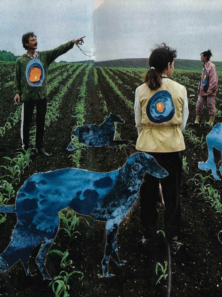 The cover of Inscape Winter 2021. Several people and two dogs stand in a field of crops. One is pointing off into the distance while the others look in opposite directions.