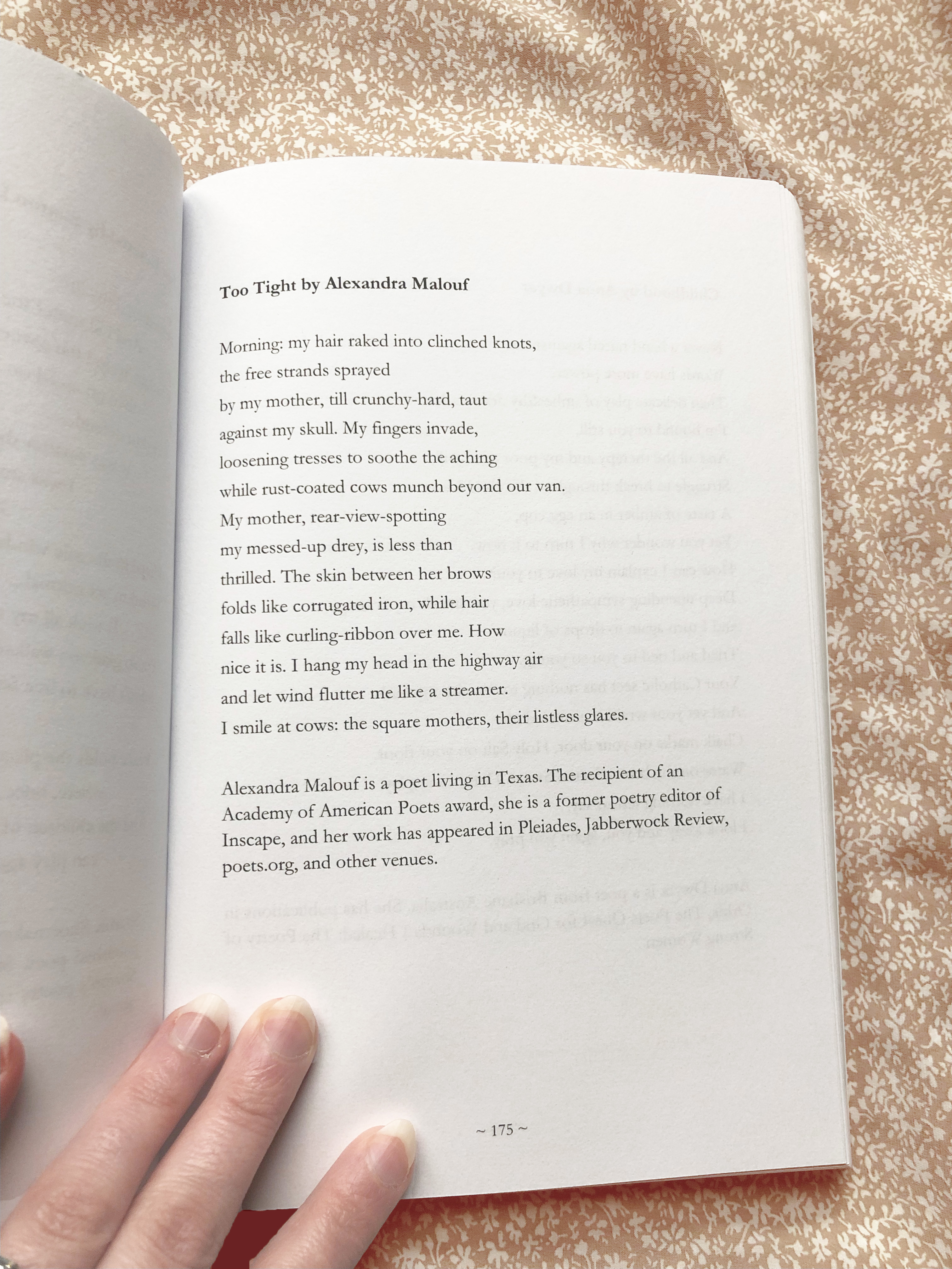 An image of a sonnet. It reads: Morning: my hair raked into cinched knots, the free strands sprayed by my mother, till crunchy-hard, taut against my skull. My fingers invade, loosening tresses to soothe the achine while rust-coated cows munch grass beyond our van. My mother, rear-view-spotting my messed-up drey, is less than thrilled. The skin between her brows folds like corrugated iron, while hair falls like curling-ribbon over me. How nice it is, I hang my head in the highway air and let wind flutter me like a streamer. I smile at cows: the square mothers, their listless glares.